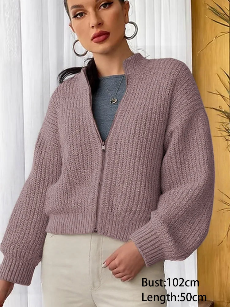 Zipper Knit Cardigan 102cm Chicchar Fashion
