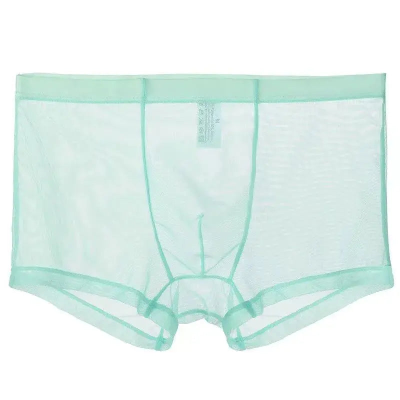 Sheer Nylon Low-Waist Boxers Chicchar Fashion