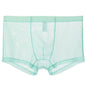 Sheer Nylon Low-Waist Boxers Chicchar Fashion