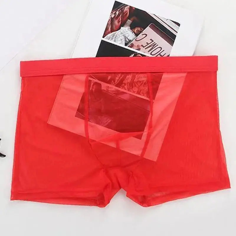 Sheer Nylon Low-Waist Boxers Chicchar Fashion