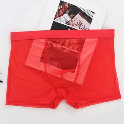 Sheer Nylon Low-Waist Boxers Chicchar Fashion