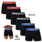 6-Pack Cotton Boxer Briefs Chicchar Fashion