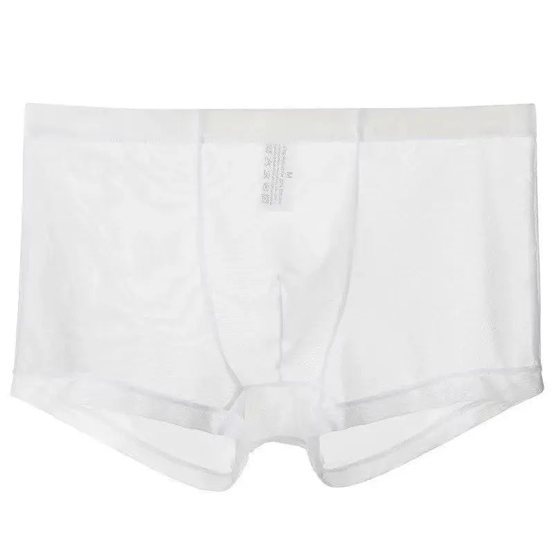 Sheer Nylon Low-Waist Boxers Chicchar Fashion