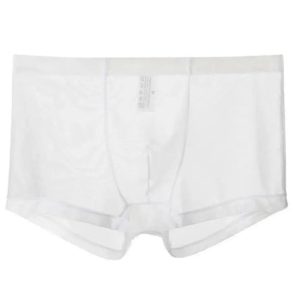 Sheer Nylon Low-Waist Boxers Chicchar Fashion