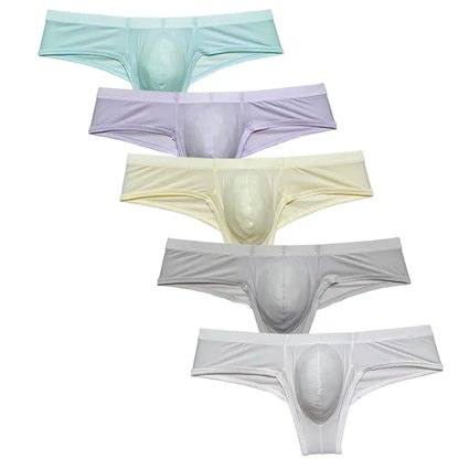 Ultrathin Nylon Spandex Briefs Chicchar Fashion