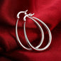 Elegant Silver Hoop Earrings - Chicchar Fashion