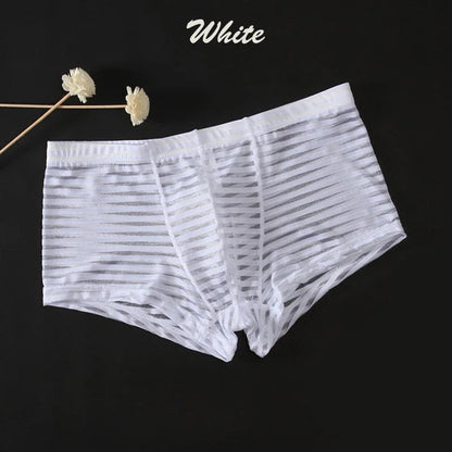 Transparent Ice Silk Boxers Chicchar Fashion