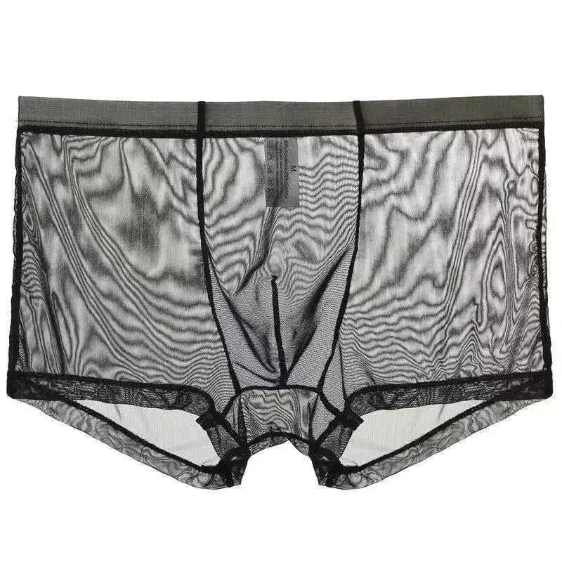 Sheer Nylon Low-Waist Boxers Chicchar Fashion