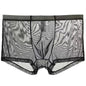 Sheer Nylon Low-Waist Boxers Chicchar Fashion
