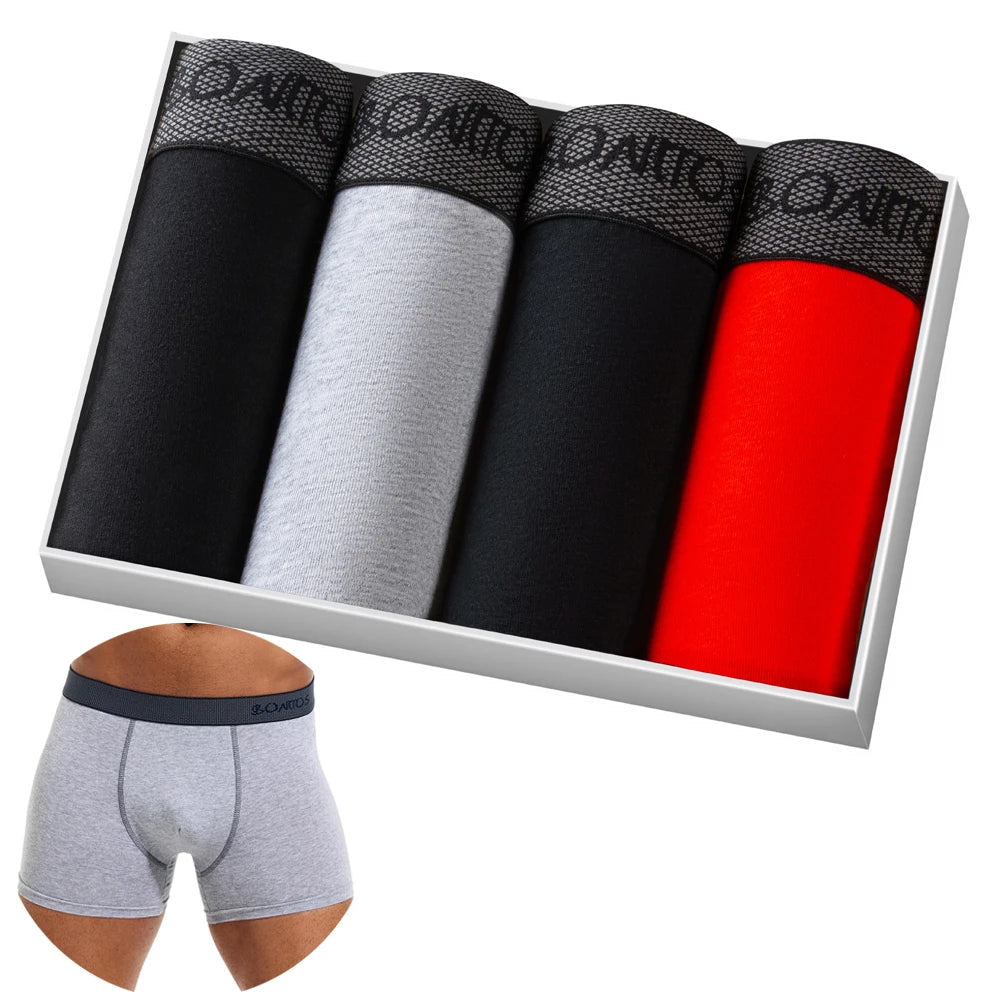 Men's Cotton Boxer 4-Pack Chicchar Fashion
